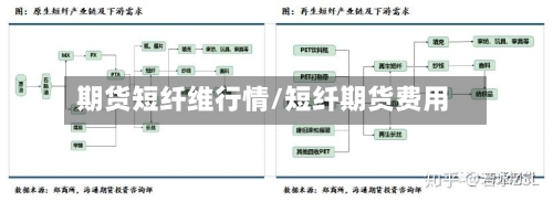 期货短纤维行情/短纤期货费用-第2张图片