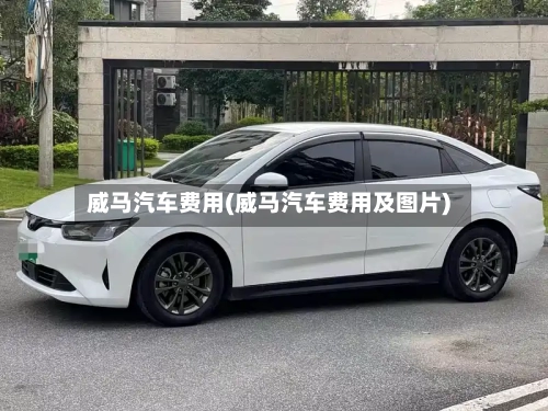 威马汽车费用(威马汽车费用及图片)