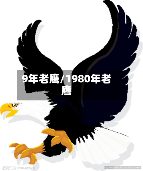 9年老鹰/1980年老鹰