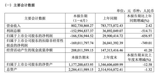 新材料龙头，上半年亏损1.67亿元，推逾806万股激励计划